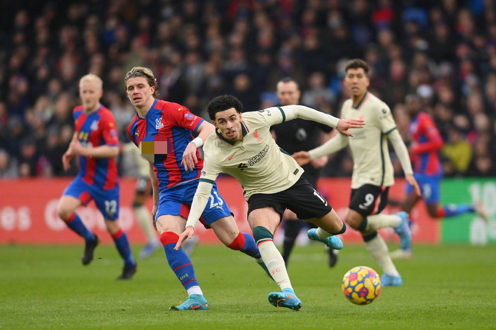 得不面对 得不面对